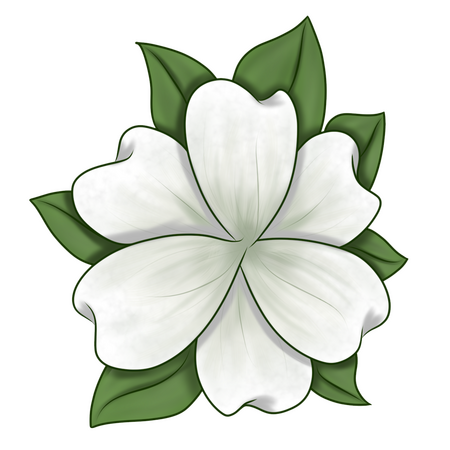 Her Flower Her Flower